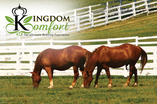 Kingdom Komfort Begins Producing Bulk Horse Bedding Pellets from its Pellet Mill in PA