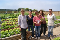 The award-winning gardeners at Sark Estate Management's kitchen gardens work in the gardens and greenhouses all year and their produce supplies four of the hotels within the Sark Island Hotels group