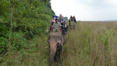 Elephant Safari, Greatwall Nepal