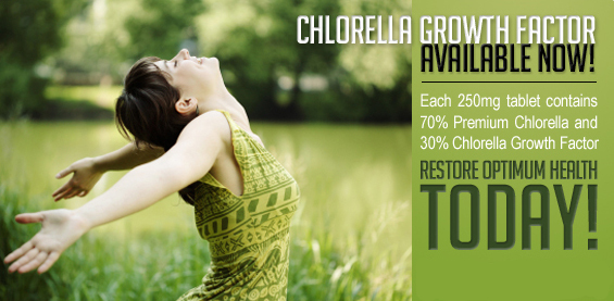 Chlorella Fella Products