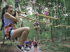 The Adventure Park at The Discovery Museum offers beginners or accomplished climbers "fun in the trees." (Outdoor Ventures Photo)