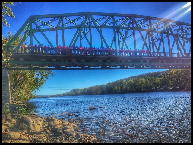 Global Healthcare Management team on bridge for Think Pink picture