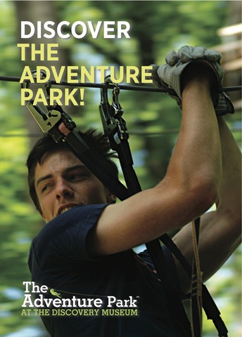 Discover fun in our trees at The Adventure Park!