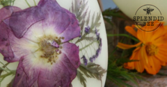 Lisa Hagan, owner of Splendid Bee, makes one-of-a-kind beeswax luminaries with a unique selection of wild flowers.