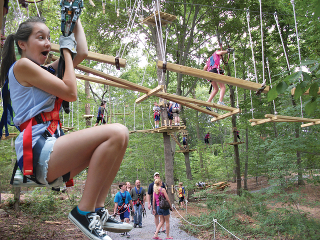 More than just zip lines - The Adventure Park at Nashville is a fun combination experience of zip lines and challenge bridges between tree platforms.