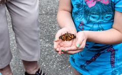 A young girl holds a butterfly that her family released together