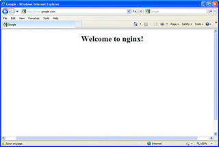 Nginx Virus Hijacks Web Browsers and Displays Misleading Error Messages