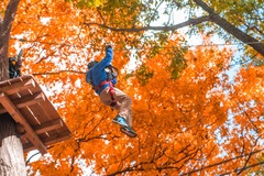 What better way to enjoy autumn foliage than to zip line through it at The Adventure Park at Nashville