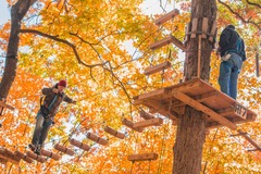 Enjoying autumn foliage UP IN the trees themselves at The Adventure Park.