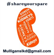 Mulligans Living Kidney Donors works with doctors within the Louisville, Kentucky region to connect people who are willing to participate in a donor swap. 