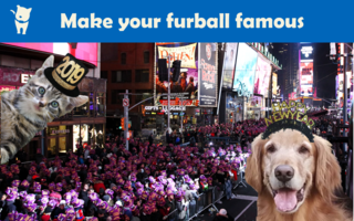 Animal Tech company, Scollar, Seeking Pets to Feature on Times Square Billboards on NYE