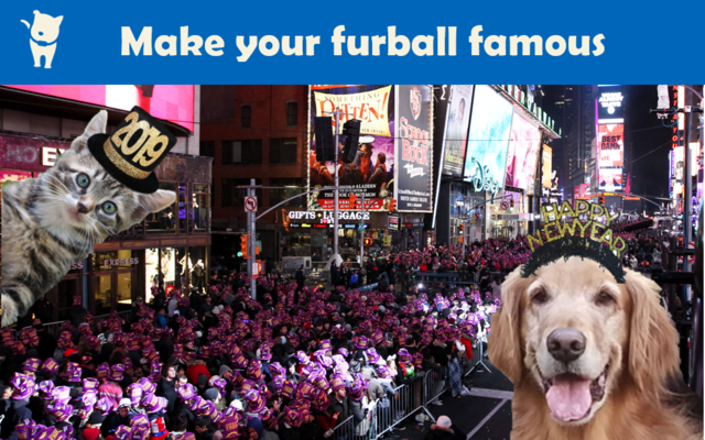 Enter our contest for a chance to have your dog or cat featured with Scollar on an iconic Times Square billboard on New Year's Eve.