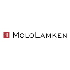 Remy Gerbay joins MoloLamken from Enyo Law