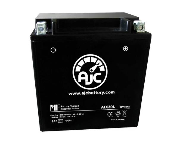 AJC AIX30L Powersports Battery