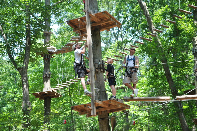 Climbing higher at The Adventure Park. This coming weekend a group of three like this would mean three extra dollars donated by the Park for planting three new trees in our national forests.
