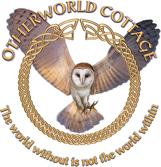 The 7-Part, 2019, Harvey Kubernik – Travis Edward Pike Audio Interview may now be heard on the Otherworld Cottage Industries website