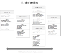 Every IT job can be placed in one of the unique families defined by this system