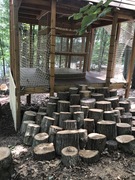 In keeping with The Adventure Park's natural forest theme, these clever steps were created out of tree trunks.