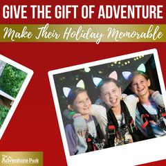 "Better Than Stuff" - Shopping For Adventure Gifts from The Adventure Park at Virginia Aquarium