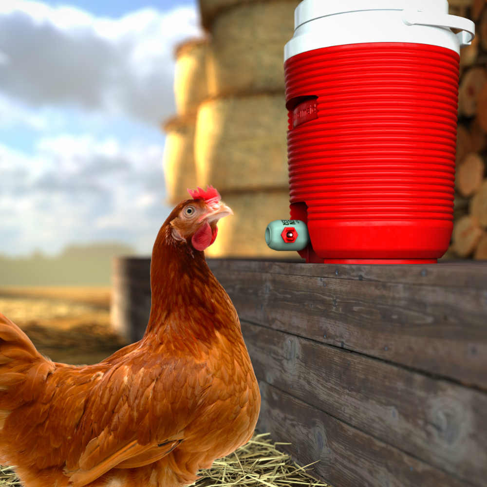 New BriteTap Model 2 Chicken Waterer Improves on Original Design