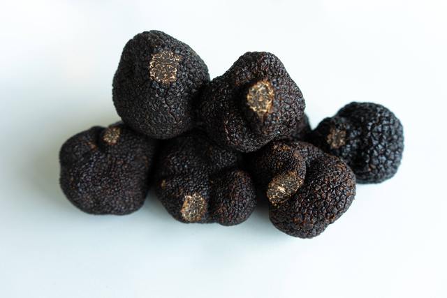 "Two Truffles" Launches Online Store Selling Gourmet Mushroom Truffles and Candy Truffles