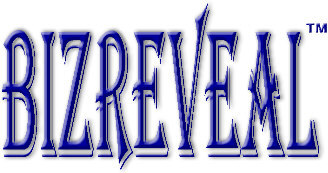 BizReveal Logo
