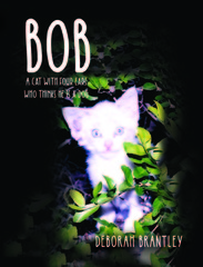 Lufkin, TX Author Publishes Cat Book