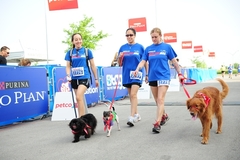 5K9 Walk Run, an event for you and your best friend!