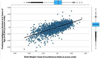 Birth weight and head circumference predict IQ and motor performance at 4 years of age 
