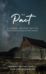 Williamsburg, VA Author Publishes Spiritual Novel